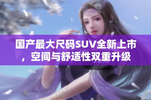 国产最大尺码SUV全新上市，空间与舒适性双重升级