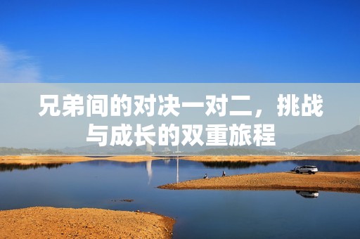 兄弟间的对决一对二，挑战与成长的双重旅程