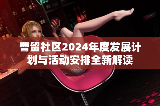 曹留社区2024年度发展计划与活动安排全新解读
