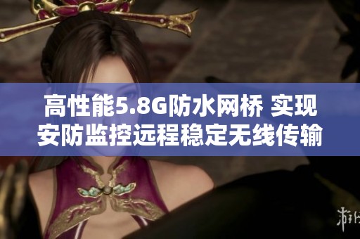 高性能5.8G防水网桥 实现安防监控远程稳定无线传输