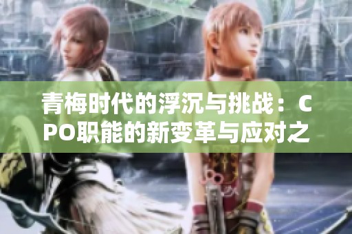 青梅时代的浮沉与挑战：CPO职能的新变革与应对之策