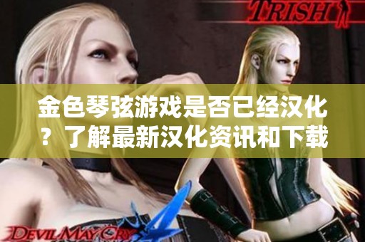 金色琴弦游戏是否已经汉化？了解最新汉化资讯和下载指南