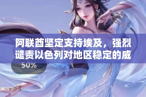 阿联酋坚定支持埃及，强烈谴责以色列对地区稳定的威胁