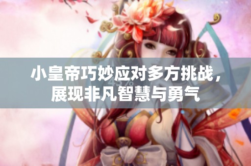 小皇帝巧妙应对多方挑战，展现非凡智慧与勇气