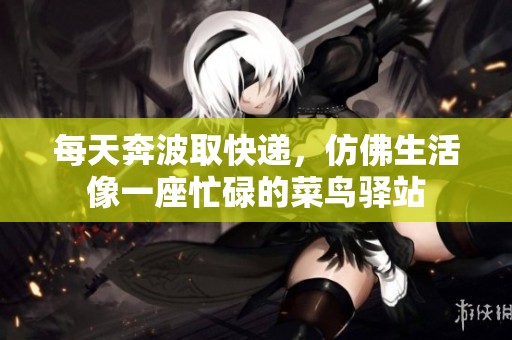 每天奔波取快递，仿佛生活像一座忙碌的菜鸟驿站