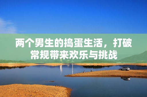 两个男生的捣蛋生活，打破常规带来欢乐与挑战