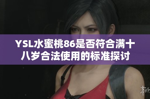 YSL水蜜桃86是否符合满十八岁合法使用的标准探讨