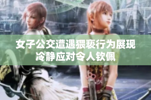 女子公交遭遇猥亵行为展现冷静应对令人钦佩