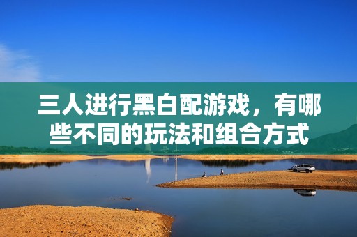 三人进行黑白配游戏，有哪些不同的玩法和组合方式