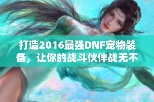 打造2016最强DNF宠物装备，让你的战斗伙伴战无不胜