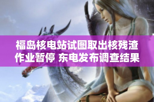 福岛核电站试图取出核残渣作业暂停 东电发布调查结果引关注