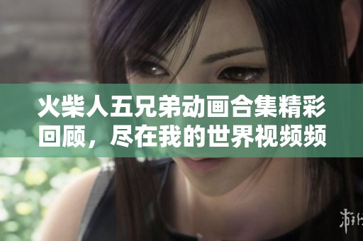 火柴人五兄弟动画合集精彩回顾，尽在我的世界视频频道