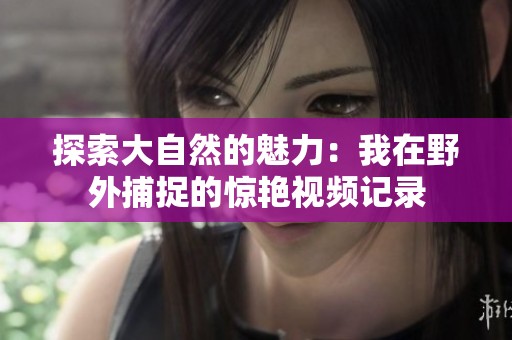 探索大自然的魅力：我在野外捕捉的惊艳视频记录