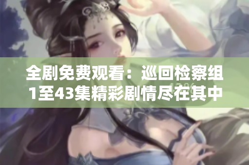 全剧免费观看：巡回检察组1至43集精彩剧情尽在其中