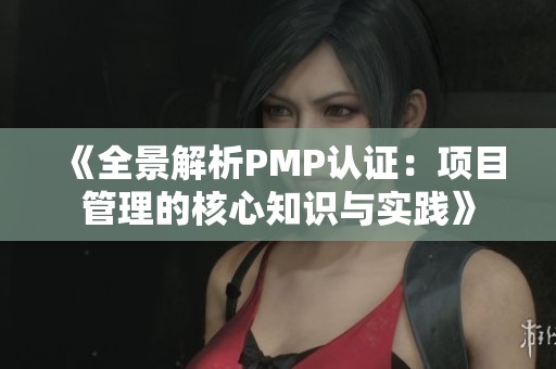 《全景解析PMP认证：项目管理的核心知识与实践》
