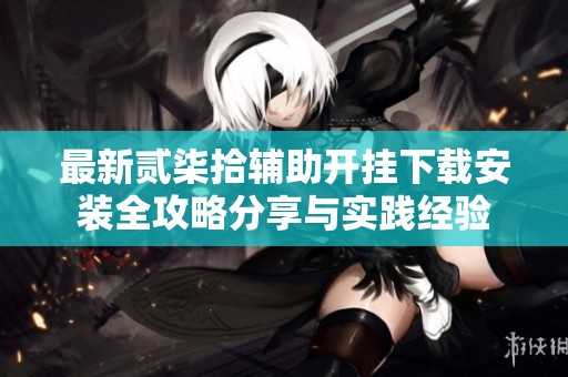 最新贰柒拾辅助开挂下载安装全攻略分享与实践经验