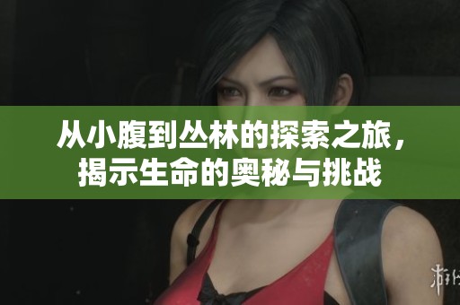 从小腹到丛林的探索之旅，揭示生命的奥秘与挑战
