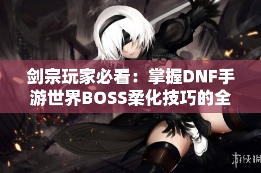 剑宗玩家必看：掌握DNF手游世界BOSS柔化技巧的全攻略