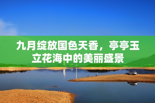 九月绽放国色天香，亭亭玉立花海中的美丽盛景