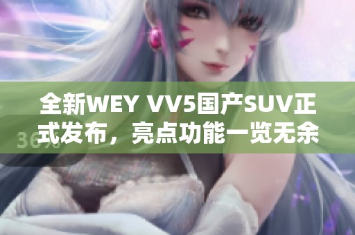 全新WEY VV5国产SUV正式发布，亮点功能一览无余