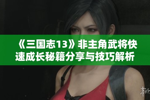 《三国志13》非主角武将快速成长秘籍分享与技巧解析