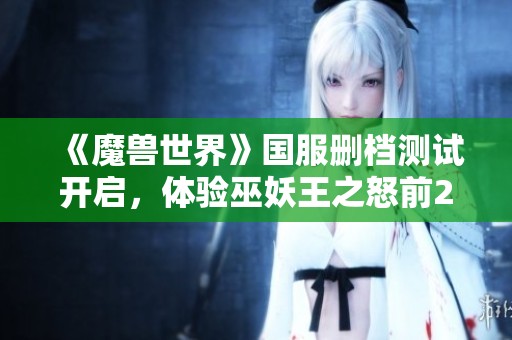 《魔兽世界》国服删档测试开启，体验巫妖王之怒前20级精彩内容