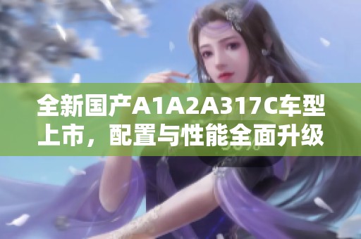 全新国产A1A2A317C车型上市，配置与性能全面升级