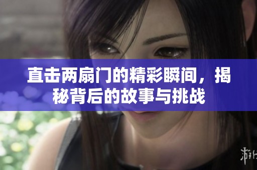 直击两扇门的精彩瞬间，揭秘背后的故事与挑战