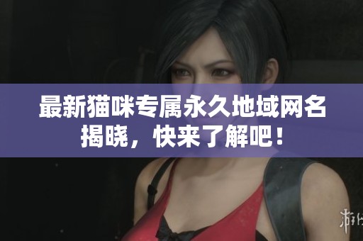 最新猫咪专属永久地域网名揭晓，快来了解吧！
