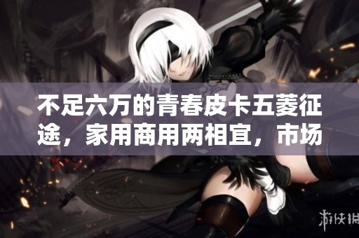 不足六万的青春皮卡五菱征途，家用商用两相宜，市场前景广阔
