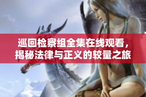 巡回检察组全集在线观看，揭秘法律与正义的较量之旅