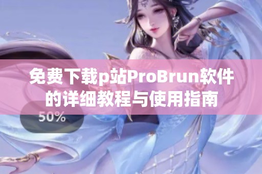 免费下载p站ProBrun软件的详细教程与使用指南