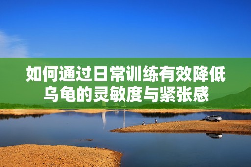 如何通过日常训练有效降低乌龟的灵敏度与紧张感