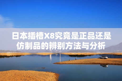 日本插槽X8究竟是正品还是仿制品的辨别方法与分析