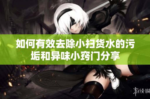 如何有效去除小扫货水的污垢和异味小窍门分享