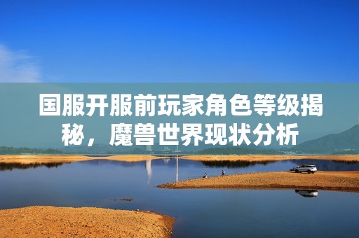 国服开服前玩家角色等级揭秘，魔兽世界现状分析
