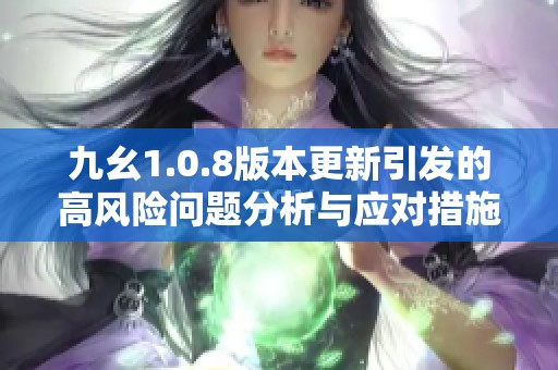 九幺1.0.8版本更新引发的高风险问题分析与应对措施