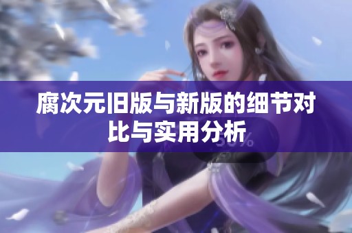 腐次元旧版与新版的细节对比与实用分析