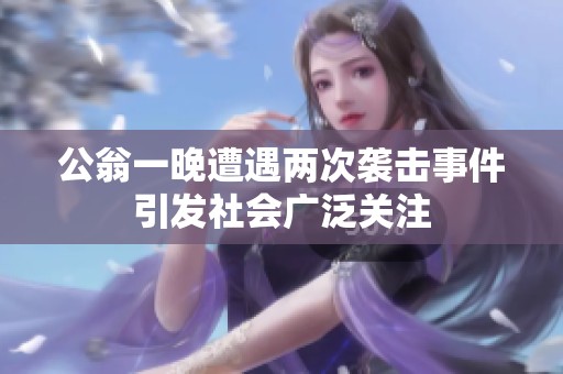 公翁一晚遭遇两次袭击事件引发社会广泛关注