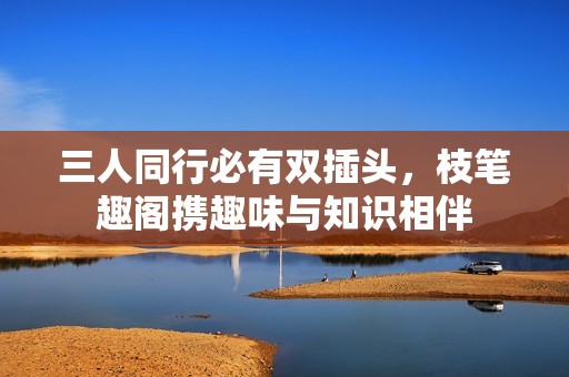 三人同行必有双插头，枝笔趣阁携趣味与知识相伴
