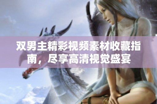双男主精彩视频素材收藏指南，尽享高清视觉盛宴