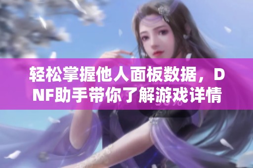 轻松掌握他人面板数据，DNF助手带你了解游戏详情