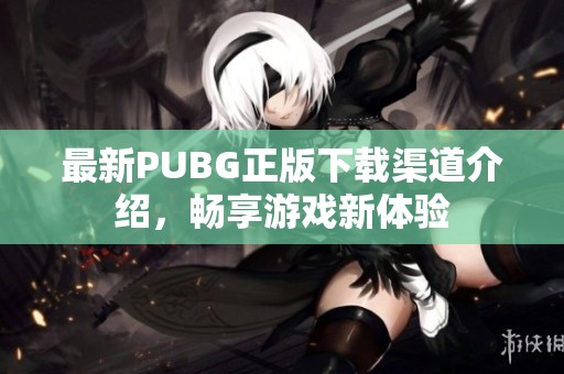 最新PUBG正版下载渠道介绍，畅享游戏新体验