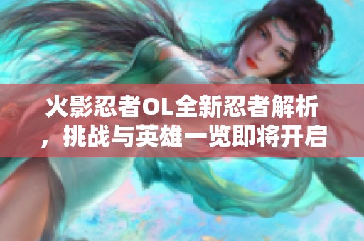 火影忍者OL全新忍者解析，挑战与英雄一览即将开启