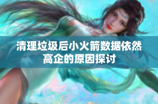 清理垃圾后小火箭数据依然高企的原因探讨