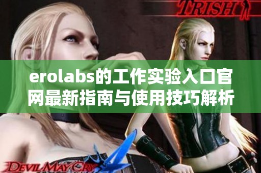 erolabs的工作实验入口官网最新指南与使用技巧解析