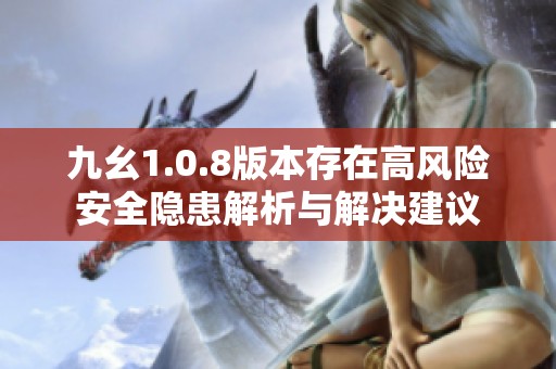 九幺1.0.8版本存在高风险安全隐患解析与解决建议