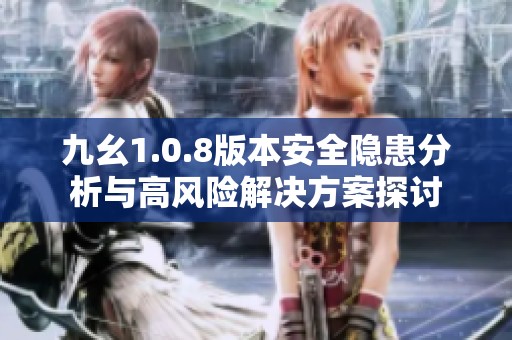 九幺1.0.8版本安全隐患分析与高风险解决方案探讨