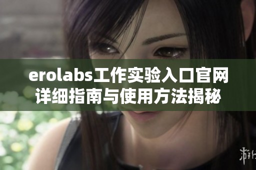 erolabs工作实验入口官网详细指南与使用方法揭秘