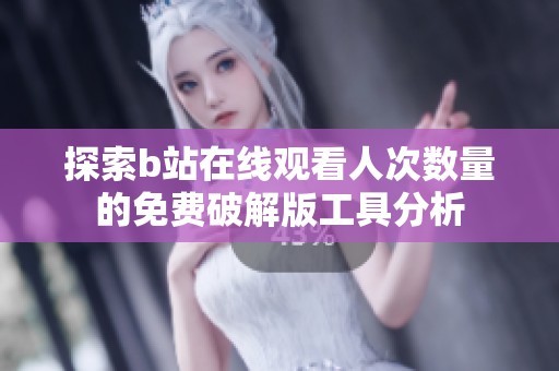 探索b站在线观看人次数量的免费破解版工具分析